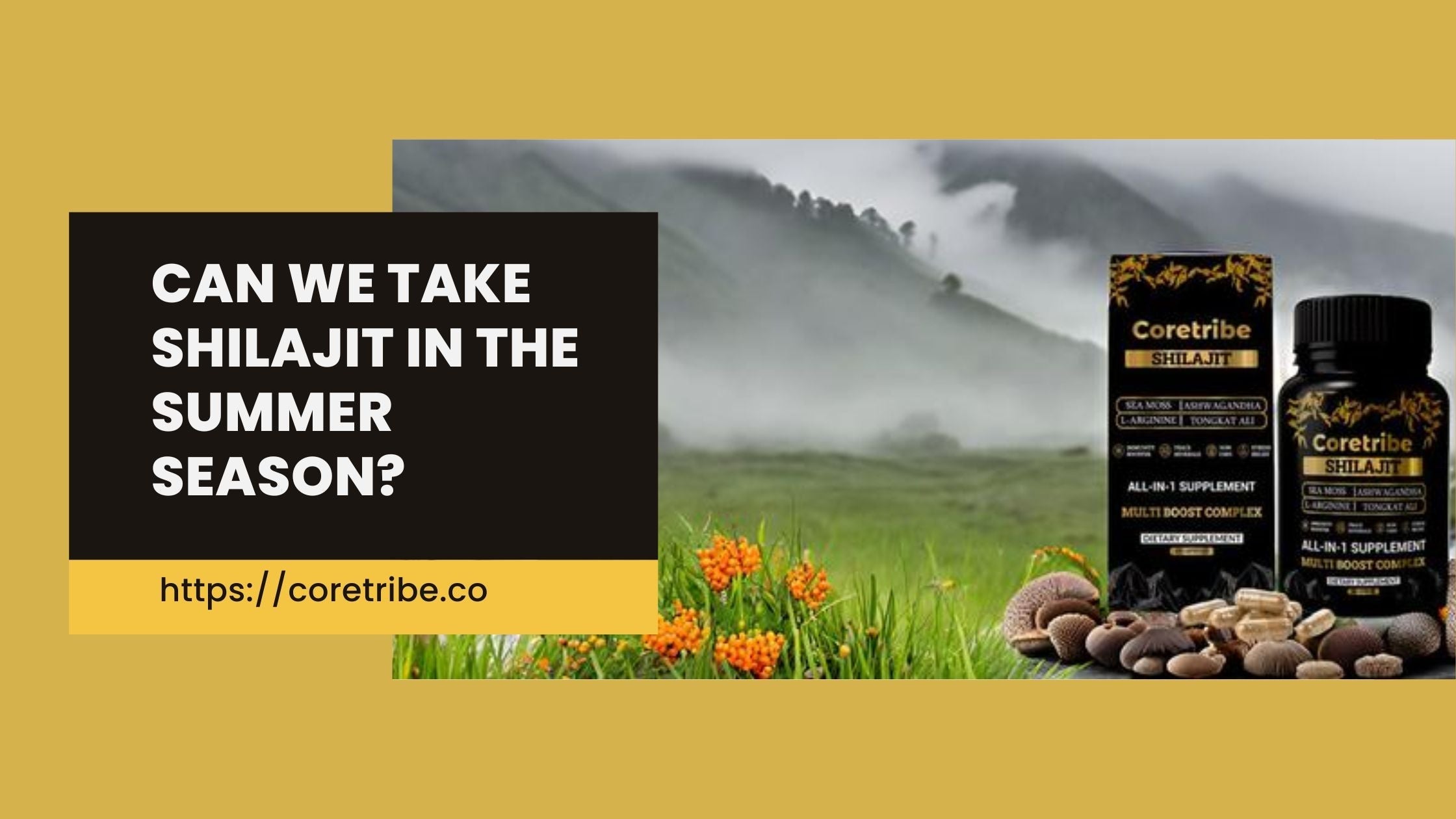 Can We Take Shilajit In The Summer Season?