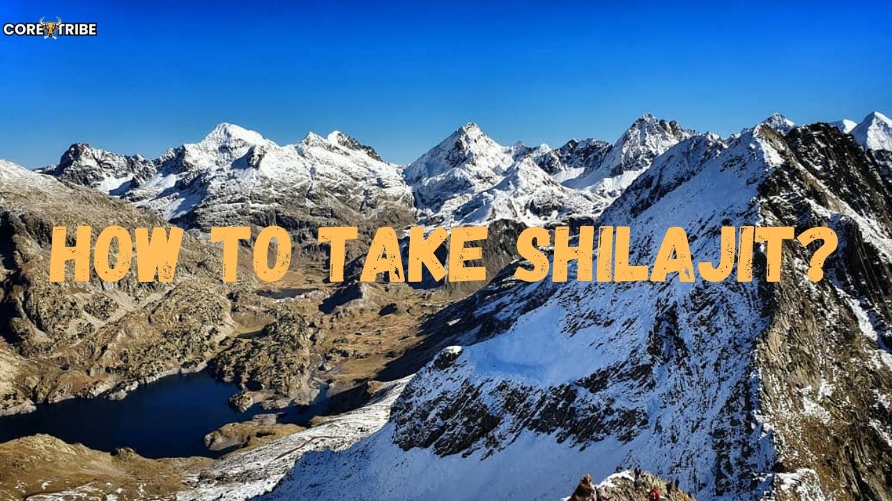 How to Take Shilajit: The Complete Guide to Getting the Most Out of Your Shilajit Supplements