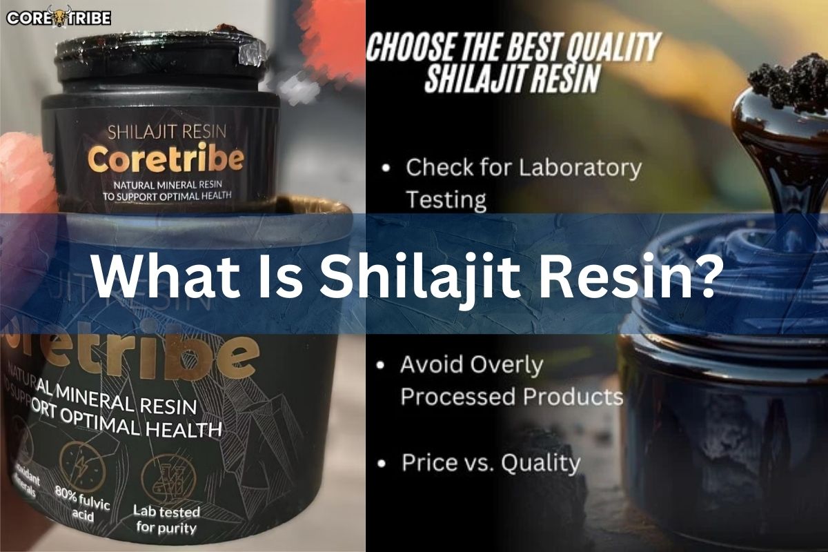 What is Shilajit Resin? Benefits, Uses, Side Effects, and More