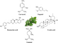 Natural Adaptogenic Compounds