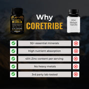 CoreTribe® Shilajit Bundle Pack of 3 – Pure Himalayan Shilajit Resin+Capsules + Honey Sticks for Daily Energy & Wellness