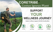 CoreTribe Costus Igneus Leaf Powder | 180g Pure Herbal Powder | Traditional Wellness Support | Non-GMO | Vegan