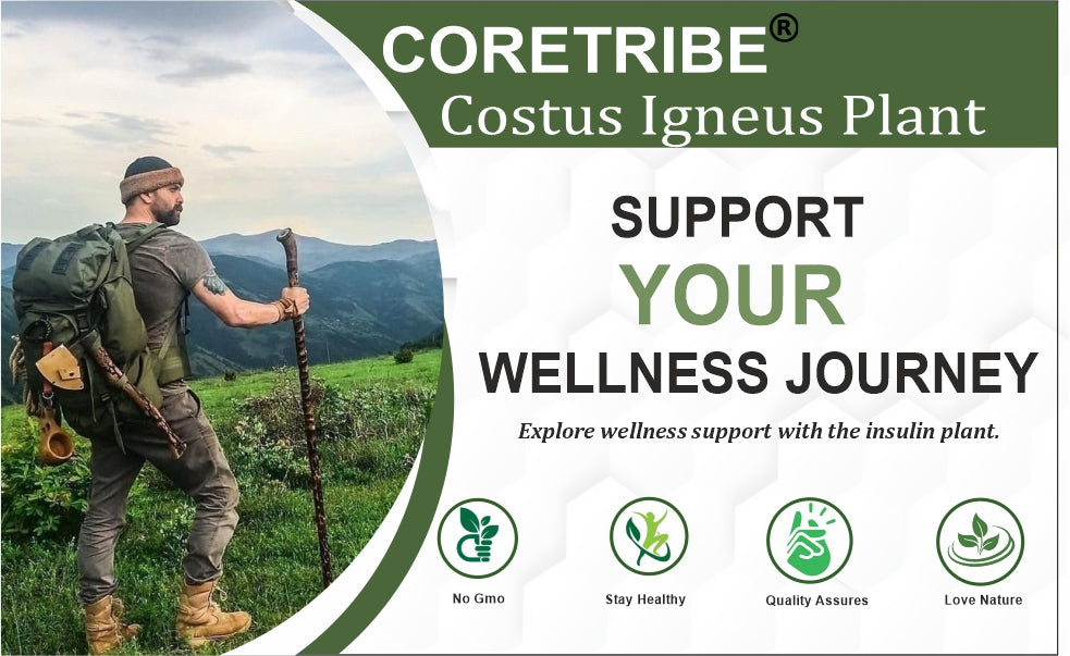 CoreTribe Costus Igneus Leaf Powder | 180g Pure Herbal Powder | Traditional Wellness Support | Non-GMO | Vegan