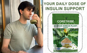 CoreTribe Costus Igneus Leaf Powder | 180g Pure Herbal Powder | Traditional Wellness Support | Non-GMO | Vegan