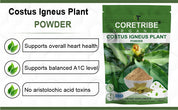 CoreTribe Costus Igneus Leaf Powder | 180g Pure Herbal Powder | Traditional Wellness Support | Non-GMO | Vegan