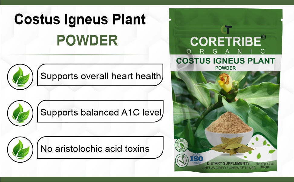 CoreTribe Costus Igneus Leaf Powder | 180g Pure Herbal Powder | Traditional Wellness Support | Non-GMO | Vegan