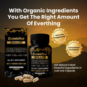 Himalayan Shilajit Capsules - Multi Boost Complex with Sea Moss, Ashwagandha, L-Arginine, and Tongkat Ali
