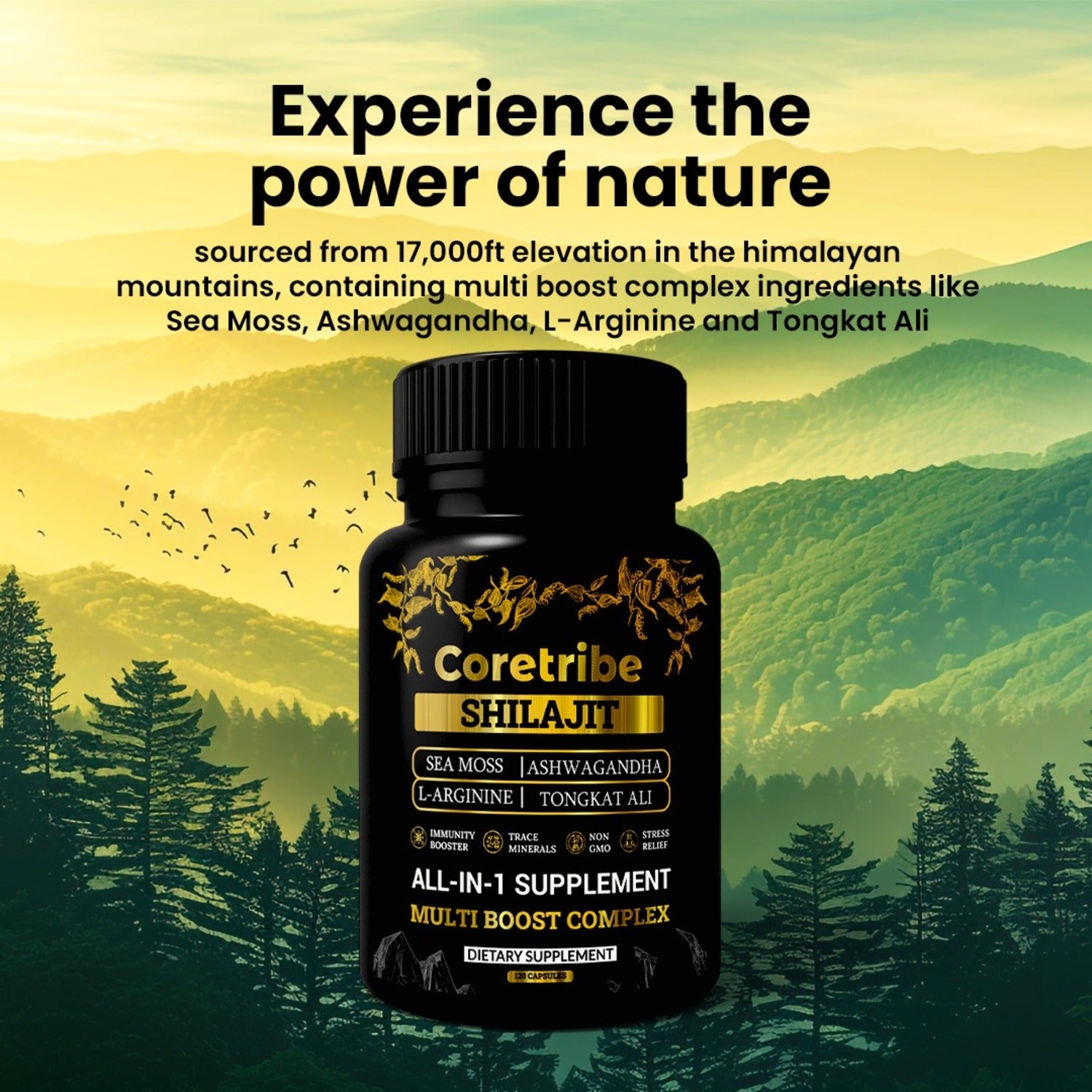 coretribe Shilajit Capsules – Sourced from the Himalayan mountains