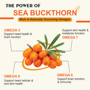 Coretribe Whole Berry Sea Buckthorn Oil Softgels, 1000 mg, 60 Count, Omega 3-6-7-9 Fatty Acid Dietary Supplement for Skin, Hair & Daily Wellness Support