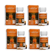 Coretribe® Cordyceps Militaris Mushroom Extract Capsules