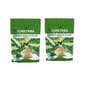 CoreTribe Costus Igneus Leaf Powder | 180g Pure Herbal Powder | Traditional Wellness Support | Non-GMO | Vegan