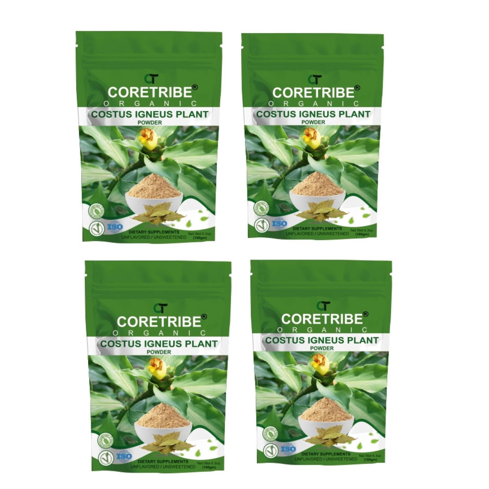 CoreTribe Costus Igneus Leaf Powder | 180g Pure Herbal Powder | Traditional Wellness Support | Non-GMO | Vegan