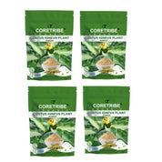 CoreTribe Costus Igneus Leaf Powder | 180g Pure Herbal Powder | Traditional Wellness Support | Non-GMO | Vegan