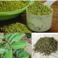 Costus Igneus Leaf Powder (Insulin Plant)