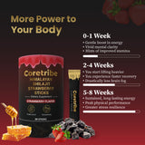 Coretribe®Shilajit Honey Sticks - Pure Himalayan Shilajit Resin with Raw Honey - 30 Sticks of Natural Honey Infused with Strawberry Flavour
