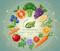 Plant-Based Antioxidants & Phytochemicals