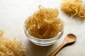 Sea Moss