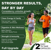 CoreTribe Moringa Capsules - Pure Moringa Powder, Energy, Skin, Immune & Gut Health Superfood, Rich in Antioxidants, Essential Vitamins & Amino Acids, Natural Green Superfood Supplement - 60 Count