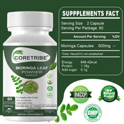 CoreTribe Moringa Capsules - Pure Moringa Powder, Energy, Skin, Immune & Gut Health Superfood, Rich in Antioxidants, Essential Vitamins & Amino Acids, Natural Green Superfood Supplement - 60 Count