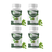 CoreTribe Moringa Capsules - Pure Moringa Powder, Energy, Skin, Immune & Gut Health Superfood, Rich in Antioxidants, Essential Vitamins & Amino Acids, Natural Green Superfood Supplement - 60 Count