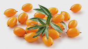 Coretribe Whole Berry Sea Buckthorn Oil Softgels, 1000 mg, 60 Count, Omega 3-6-7-9 Fatty Acid Dietary Supplement for Skin, Hair & Daily Wellness Support