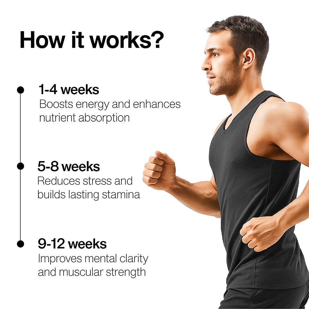 CoreTribe® Shilajit Bundle Pack of 3 – Pure Himalayan Shilajit Resin+Capsules + Honey Sticks for Daily Energy & Wellness