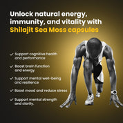 Compare Shilajit Resin vs Capsules​ – Shilajit Sea Moss Capsules support cognitive health, energy, mood, and mental strength for overall well-being.